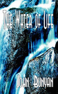 Bild: The Water of Life (The Richness and Glory of the Gospel) - Diggory Press