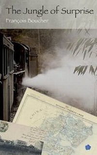 Enlarge image Cover: The Jungle of Surprise - Boucher and Luo Infodoc Ltd