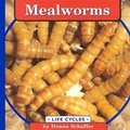 Cover: Mealworms - Capstone Press