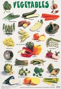 Cover: Vegetables - Schofield & Sims Ltd