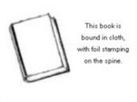 Abbildung von: Constitutional Debate in Action - Rowman & Littlefield Publishers