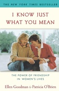 Cover: I Know Just What You Mean - Fireside Books