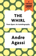 Cover: The Whirl - Vintage