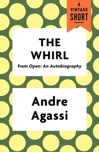 Enlarge image Cover: The Whirl - Vintage