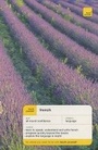 Cover: French - TEACH YOURSELF