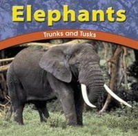 Enlarge image Cover: Elephants (Wild World of Anima - Capstone Press