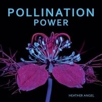 Enlarge image Cover: Pollination Power - Kew Publishing