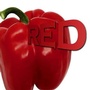 Cover: Red - Rourke Publishing