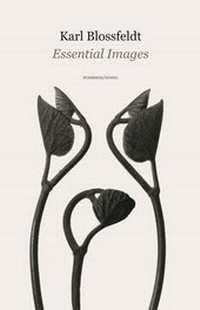 Enlarge image Cover: Masterworks - Schirmer Mosel