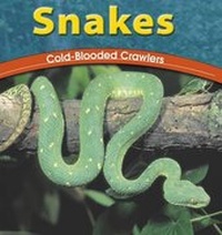 Enlarge image Cover: Snakes - Capstone Press