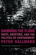 Cover: Damming the Flood - Verso Books