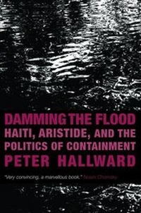 Enlarge image Cover: Damming the Flood - Verso Books