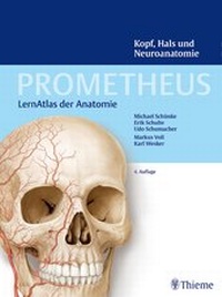 Bild vergrößern Bild: PROMETHEUS Kopf, Hals und Neuroanatomie - Thieme