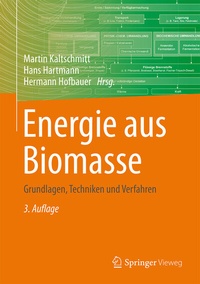 Enlarge image Cover: Energie aus Biomasse - Springer Vieweg