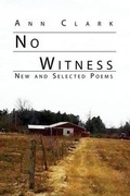 Cover: No Witness - Jane's Boy Press