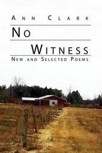 Enlarge image Cover: No Witness - Jane's Boy Press