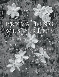 Abbildung von: Prevailing Westerlies - Sastrugi Press