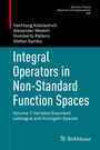 Cover: Integral Operators in Non-Standard Function Spaces - Birkhäuser