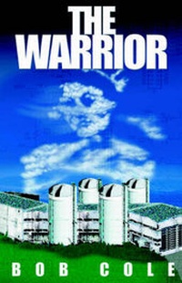 Enlarge image Cover: The Warrior - Infinity Publishing (PA)