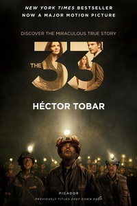 Enlarge image Cover: The 33 - Picador