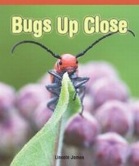 Enlarge image Cover: Bugs Up Close - Rosen Classroom