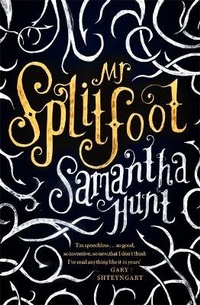 Enlarge image Cover: Mr Splitfoot - Corsair