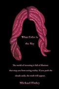 Cover: What Color Is the Sky - BOOKBABY