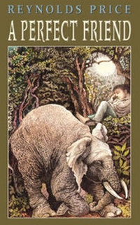 Enlarge image Cover: Perfect Friend - Scribner