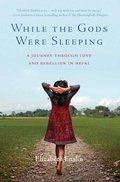 Cover: While the Gods Were Sleeping - Basic Books