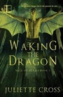 Cover: Waking the Dragon - Lyrical Press Inc