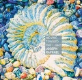 Cover: Moving Towards the Light: Joseph Raffael - ACC Editions