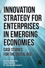 Cover: Innovation Strategy for Enterprises in Emerging Economies - Emerald Publishing Limited