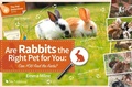 Cover: Are Rabbits the Right Pet for You - 5M Books Ltd