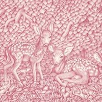 Enlarge image Cover: Deluge - ArtCircus Books
