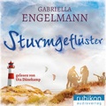 Cover: Sturmgefl&uuml;ster - Rubiton Audioverlag