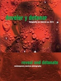 Cover: Reveal and Detonate - RM Verlag SL