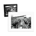 Cover: Rolling Stones Fans - Damiani