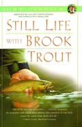 Cover: Still Life with Brook Trout - Scribner