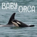 Cover: Baby Orca - Grosset & Dunlap