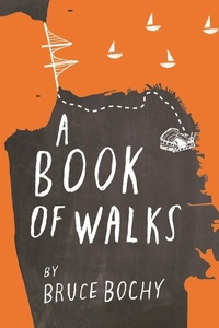 Abbildung von: Book of Walks - Wellstone Books