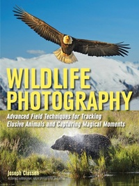 Abbildung von: Wildlife Photography - Amherst Media