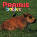 Cover: Prairie Babies - Creative Publishing International