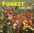 Cover: Forest Babies - Creative Publishing International