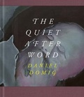 Cover: Daniel Domig - Verlag f&uuml;r Moderne Kunst