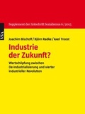 Cover: Industrie der Zukunft? - VSA