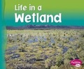 Cover: Life in a Wetland - Capstone Press