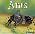 Cover: Ants - Capstone Press