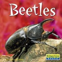 Enlarge image Cover: Beetles - Capstone Press