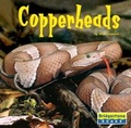 Cover: Copperheads - Capstone Press
