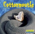 Cover: Cottonmouths - Capstone Press